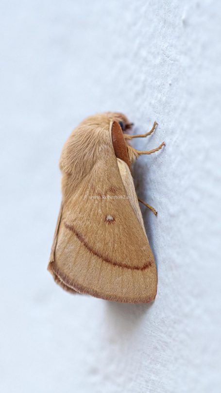 Arriate, Malaga, Andalucia