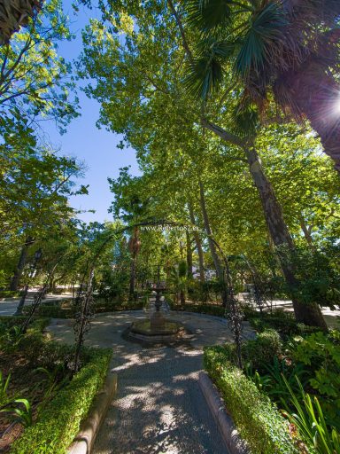 Ronda, Málaga, Andalucía