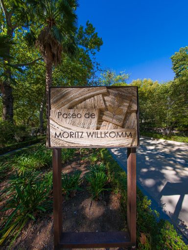 Ronda, Málaga, Andalucía
