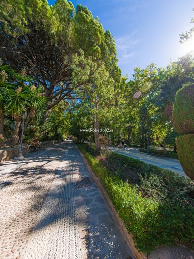 Ronda, Málaga, Andalucía