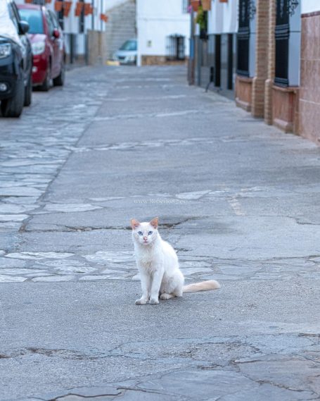 Arriate, Malaga, Andalucia