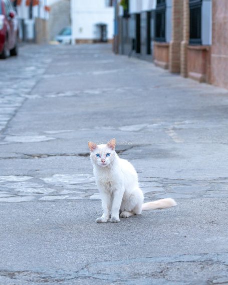 Arriate, Malaga, Andalucia