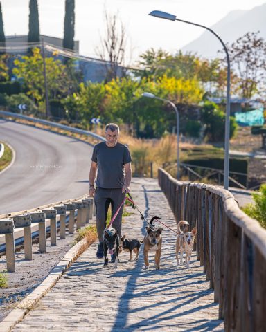 Arriate, Malaga, Andalucia