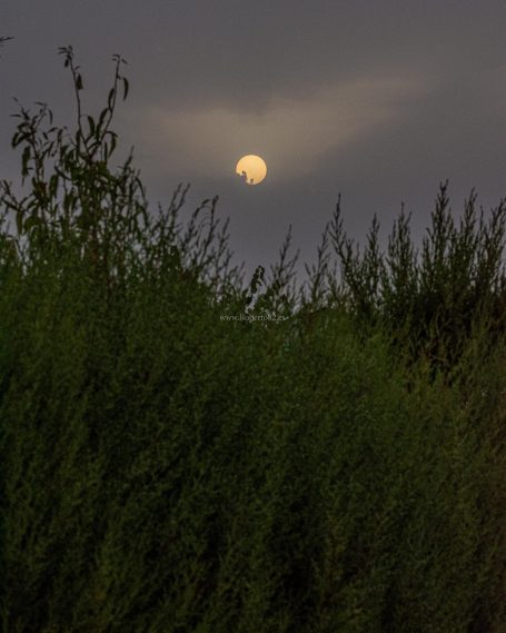 Ronda, Málaga, Andalucía, Naturaleza