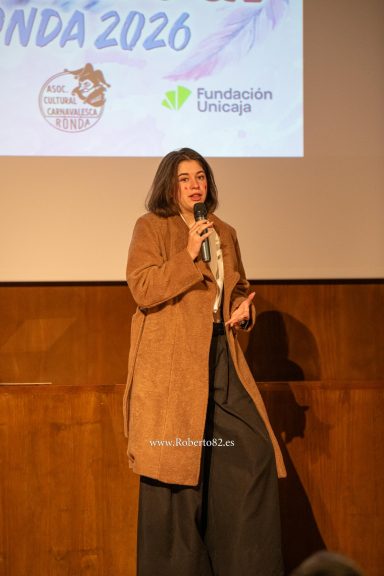 carnaval, carnaval ronda, ronda, serrania de ronda, malaga