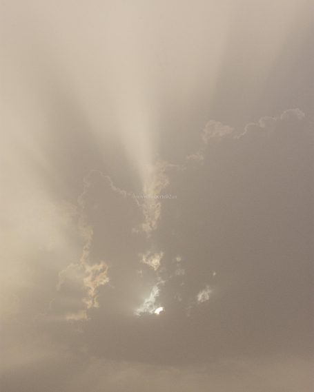 Ronda, Málaga, Andalucía, Naturaleza