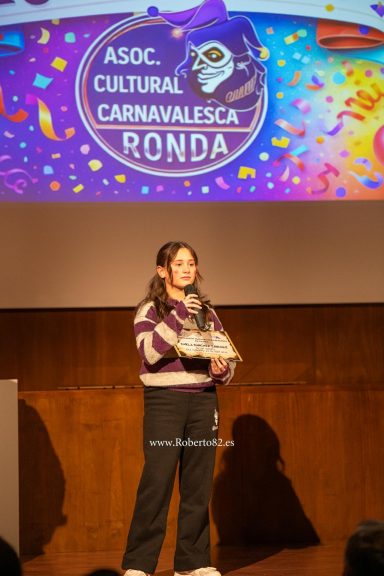 carnaval, carnaval ronda, ronda, serrania de ronda, malaga