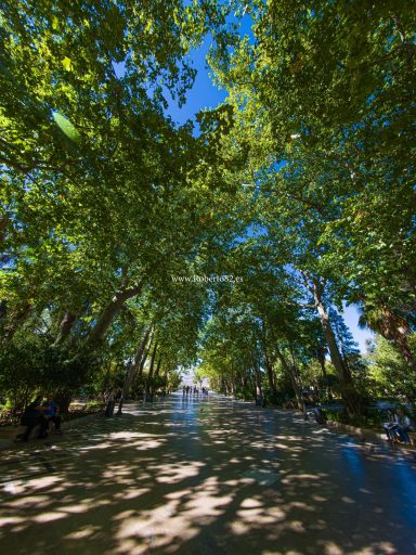 Ronda, Málaga, Andalucía