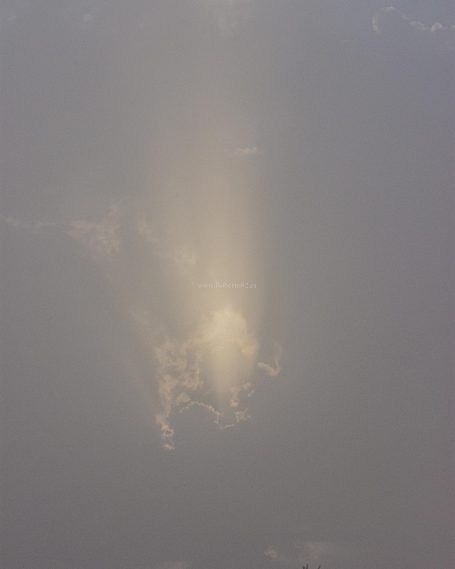 Ronda, Málaga, Andalucía, Naturaleza