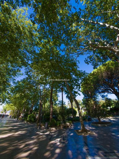 Ronda, Málaga, Andalucía